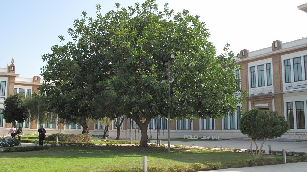 Ferienwohnung Amadeo Vives 3 Málaga Exterior foto